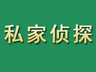 尖山市私家正规侦探